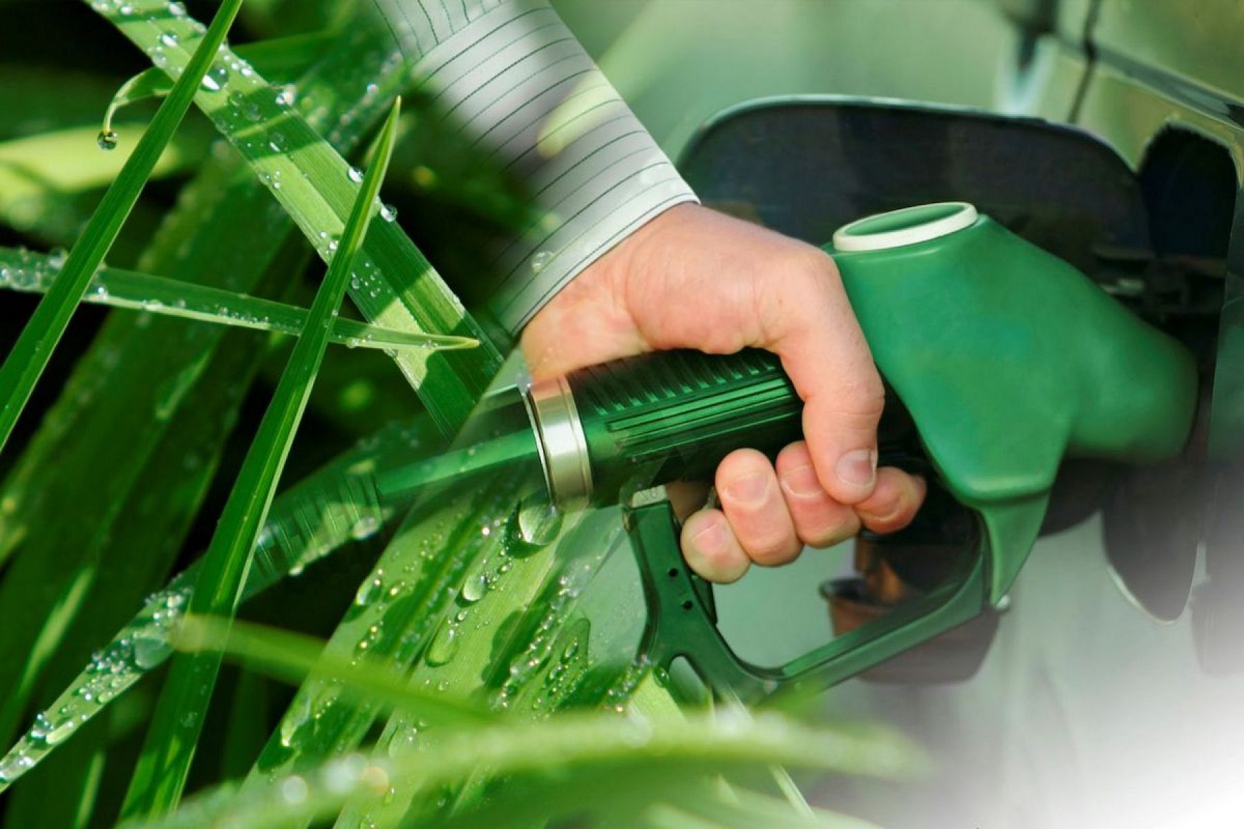 Что используют в качестве топлива. Биодизель биоэтанол. Жидкое биотопливо биодизель. Биоэтанол, биодизель, бионефть. Альтернативное топливо для автомобилей.