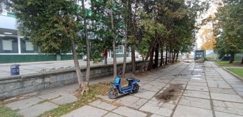 Зрізані дерева на проспекті Чорновола. Фото ГО "Зручне місто"