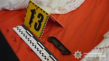 Стали відомі деталі вбивства матері львів’янином та смертельної ДТП у Пустомитах – 03