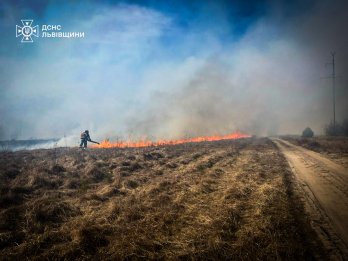 На Львівщині за добу згоріло понад 50 га сухостою