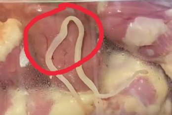 У львівському супермаркеті помітили черв’яка-паразита в курячих сердечках (відео) – 02