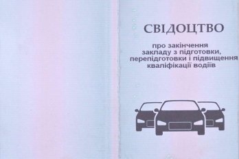 Польські прикордонники затримали українку з купленими в інтернеті документами водія – 01