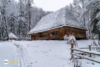 Зима у Шевченківському гаю: краєвиди та події – 03