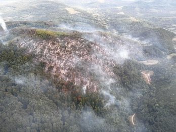 На Закарпатті третю добу намагаються ліквідувати масштабну лісову пожежу: залучили авіацію – 01
