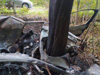 На Стрийщині сталася смертельна ДТП: Ford Focus злетів у кювет та врізався в дерево – 05