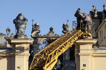 Лишайник на скульптурах: у Львові перевірили фігури на соборі Святого Юра – 06