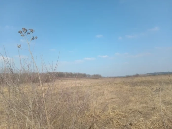 Ділянка, яку продали на аукціоні