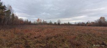 На Львівщині планують створити ботанічний заказник «Кави» площею понад 200 га – 08