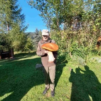 У Карпатах знайшли гриб-гігант вагою 3 кілограми (фото) – 02