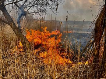 У Львові внаслідок важких травм через підпал трави за один день померли троє людей – 01
