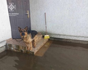 У Дрогобичі продовжують викачувати воду після негоди (фото) – 05