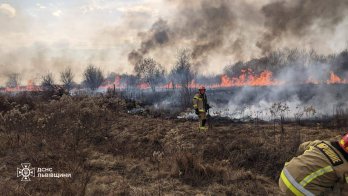 Знищені будівлі та чоловік з опіками: за добу на Львівщині було 189 пожеж сухостою – 04