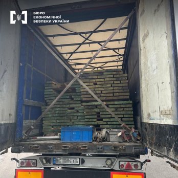На Львівщині ліквідували канал контрабанди деревини дуба на 1 млн грн