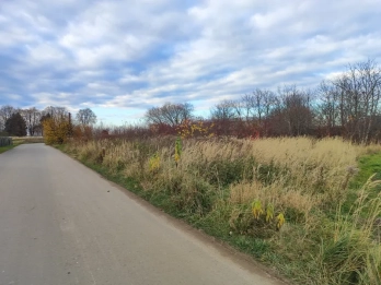 Вдвічі дорожче: у Винниках продали за 5,9 млн грн землю під промисловість – 01