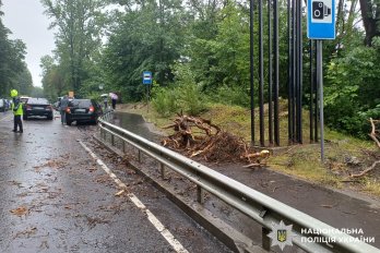 Біля Львова на BMW впало дерево: постраждала 17-річна дівчина