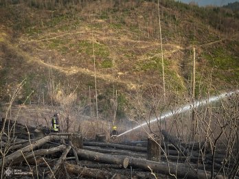 На Закарпатті виникла масштабна лісова пожежа: її гасять понад 100 рятувальників – 03
