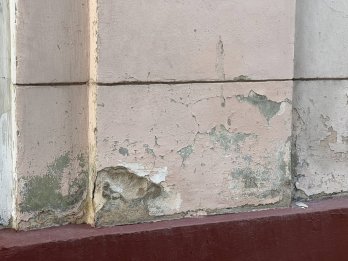 Суд зобов'язав власників готелю «Жорж» у Львові реставрувати фасад – 03