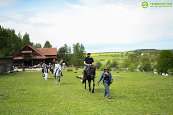 Кінні пргулянки в межах проєкту