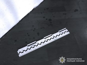 Стали відомі деталі вбивства матері львів’янином та смертельної ДТП у Пустомитах – 04