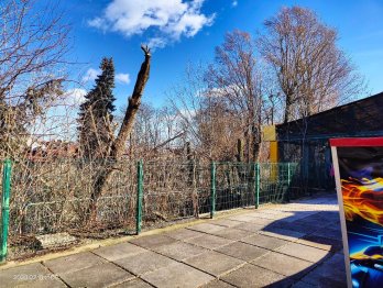 Обрізка дерев у Парку культури. Фото: «Гаряча лінія міста Львова»