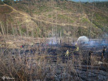 На Закарпатті виникла масштабна лісова пожежа: її гасять понад 100 рятувальників – 02