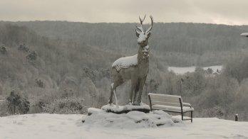 Прокуратура через суд змусила укласти охоронні договори на пам'ятки Пліснеського археологічного комплексу – 02