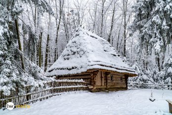 Зима у Шевченківському гаю: краєвиди та події – 02