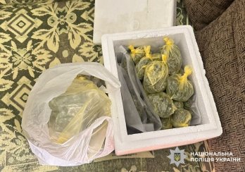Сімейний наркобізнес: на Львівщині викрили плантацію конопель – 10
