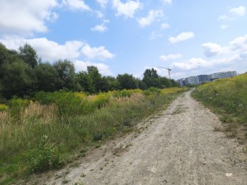 Львівська міськрада готує до продажу велику ділянку біля аеропорту під забудову – 02
