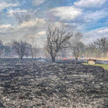Під час пожежі сухостою у дачному кооперативі на Львівщині загинув чоловік – 02
