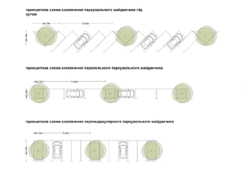 У Львові висадять дерева на усіх відкритих паркувальних майданчиках – 03