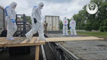 В Україну повернули тіла 1200 полеглих військових