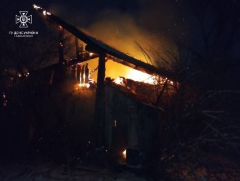 Приборкували вогонь понад пів години: у Самбірському районі пожежа знищила будинок – 01