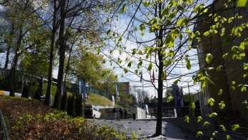 На фото центр ветеранського та адаптивного спорту “Ліга нескорених”