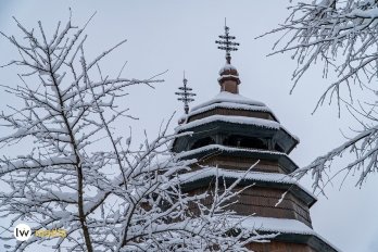 Зима у Шевченківському гаю: краєвиди та події – 10