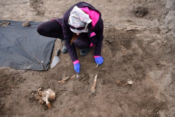 У Гуті Пеняцькій знайшли 25 місць поховань часів Другої світової війни – 08