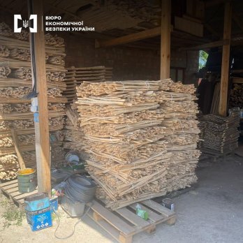 На Львівщині БЕБ викрило контрабанду деревини за кордон – 03