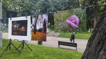 Картина фотохудожника за&nbsp;донат на&nbsp;ЗСУ: у&nbsp;День Конституції у&nbsp;Львові провели благодійну виставку (фото) – 03