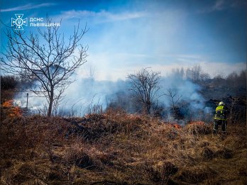 На Львівщині за добу згоріло понад 50 га сухостою