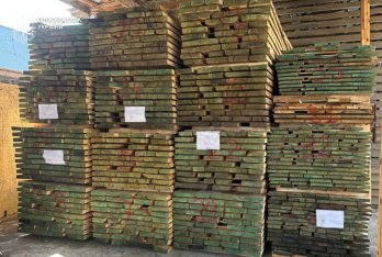 Підприємець зі Зимноводівської громади хотів вивезти до Польщі контрабандний дуб – 02