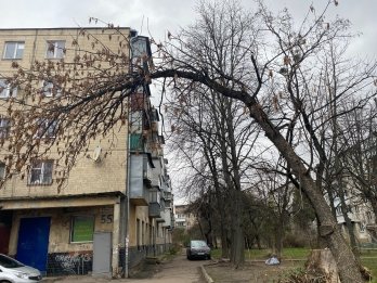 У Львові просять навести лад з деревами і бетонними блоками між будинками на проспекті Чорновола (фото) – 03