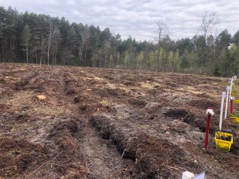 Інвестиції в майбутнє: Львівщина взяла участь в масштабній благодійній акції висадки дерев – 10