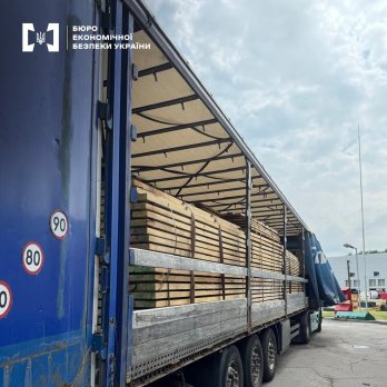 На Львівщині ліквідували канал контрабанди деревини дуба на 1 млн грн