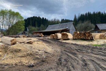 Підприємця зі Славського підозрюють у незаконній вирубці лісу на 1,2 млн грн – 02