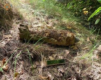 На Львівщині у трьох районах під час збирання грибів знайшли застарілі боєприпаси – 02