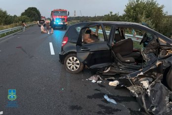 На Стрийщині затримали 17-річного винуватця смертельної ДТП, у якій загинуло двоє людей – 02