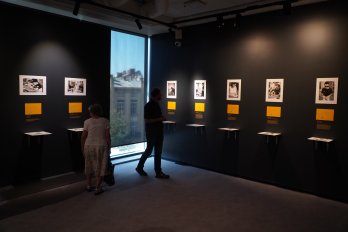 Фото з відкриття виставки