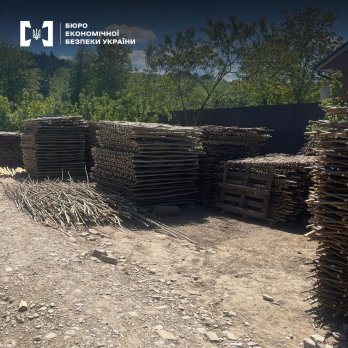 На Львівщині БЕБ викрило контрабанду деревини за кордон – 04