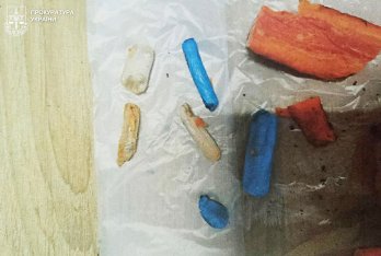 Сховав наркотики у моркві: чоловіка зі Львівщини ув’язнили на понад шість років тюрми – 01