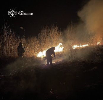 На Львівщині за добу рятувальникам довелось гасити майже сто пожеж сухостою – 01